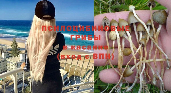 гидра Абдулино