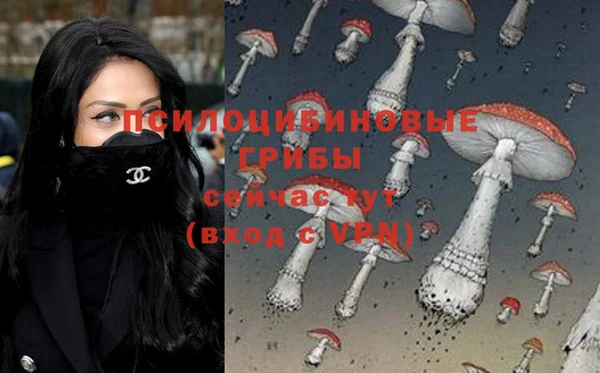 ECSTASY Абинск