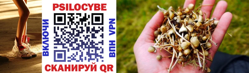 Псилоцибиновые грибы Cubensis  Вилючинск 